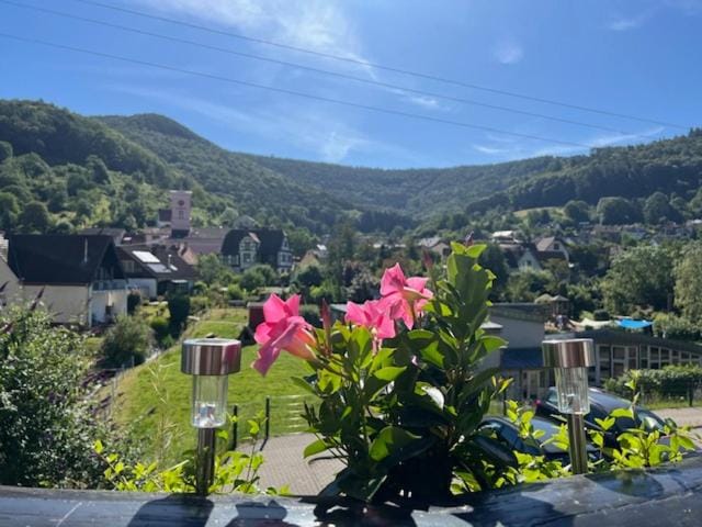 Natural landscape, View (from property/room), Mountain view