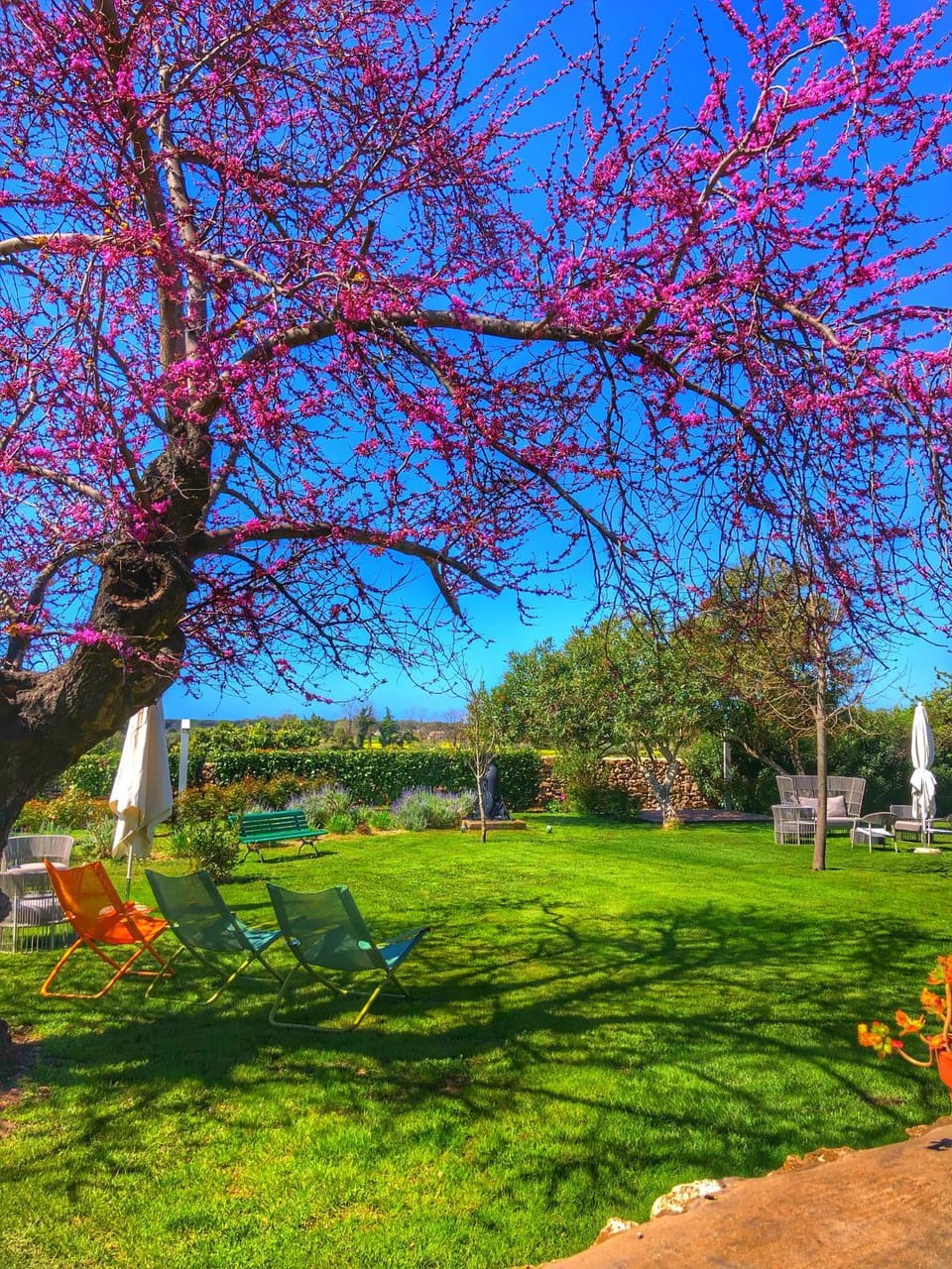 Garden, Garden view