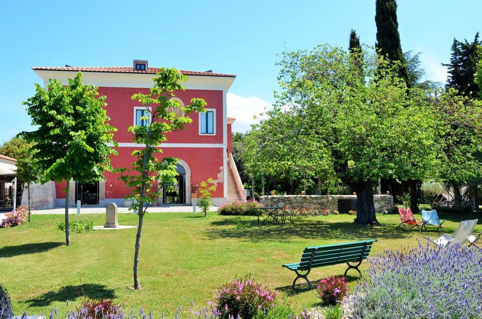 Property building, Garden view