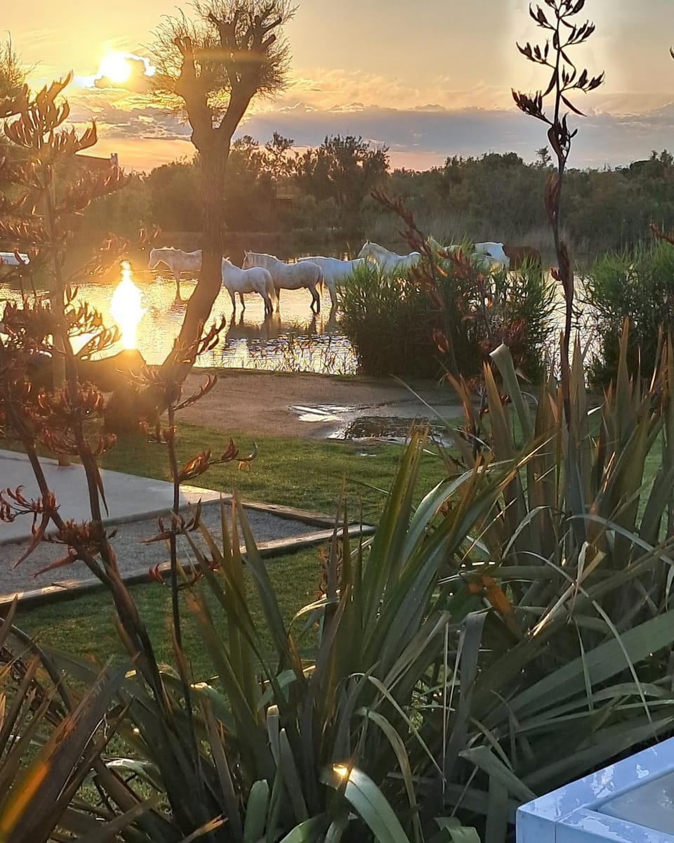 Mas des Cabidoules Bed and Breakfast in Saintes-Maries-de-la-Mer