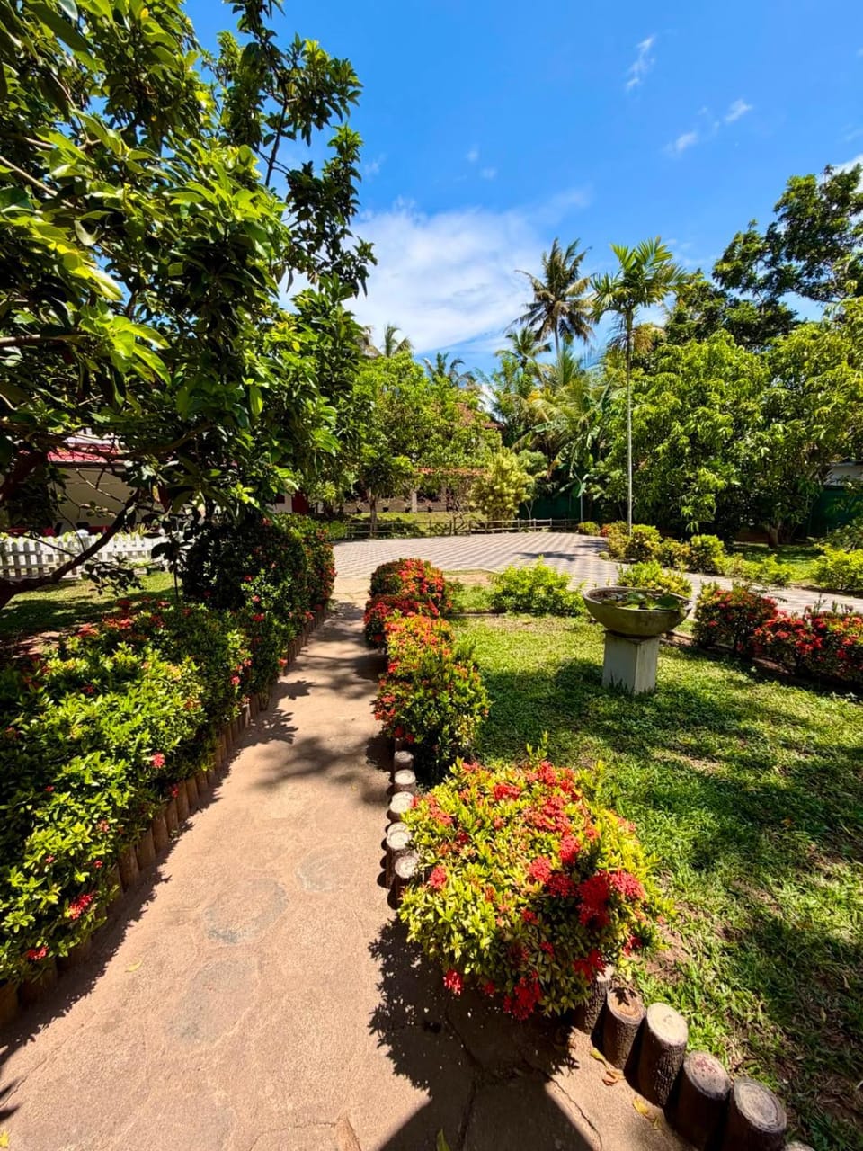 Garden view