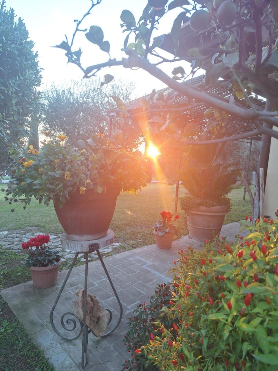Casa degli Ulivi Bed and Breakfast in Lazio