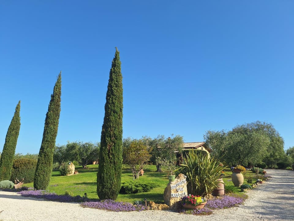 Casa degli Ulivi Bed and Breakfast in Lazio