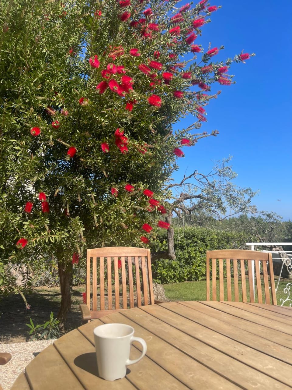 Garden view