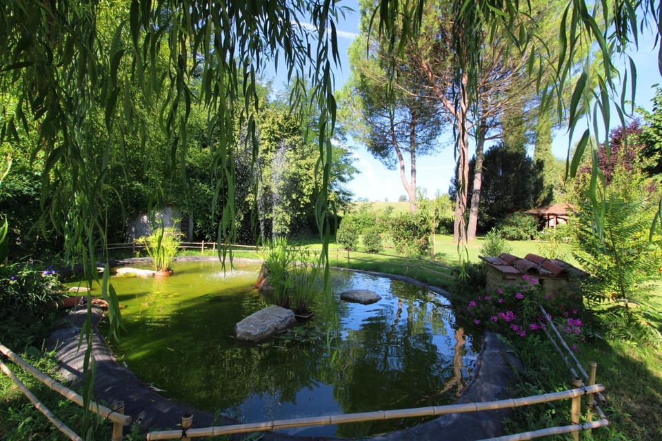 Garden, Garden view