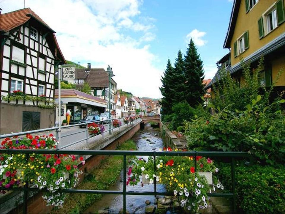 Gasthaus Hohberg Hotel in Ortenau