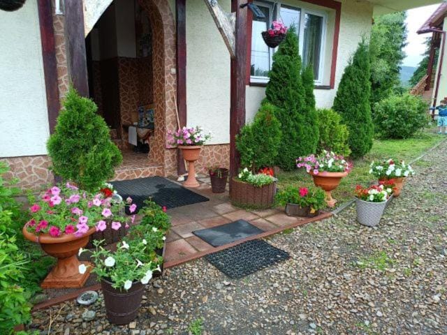Jasionka Vacation rental in Poland