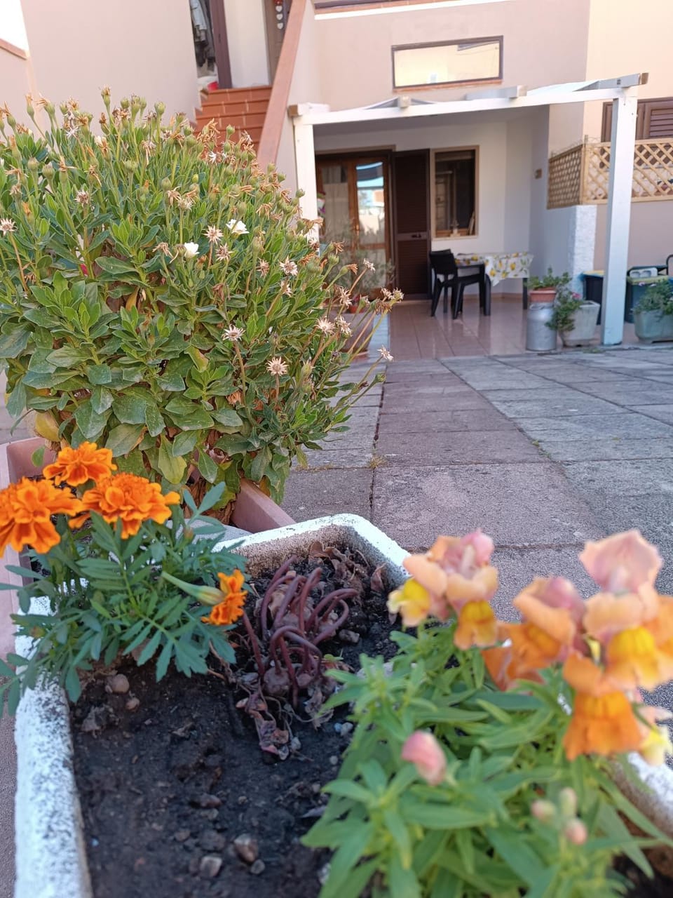Da Francesca House in Sardinia