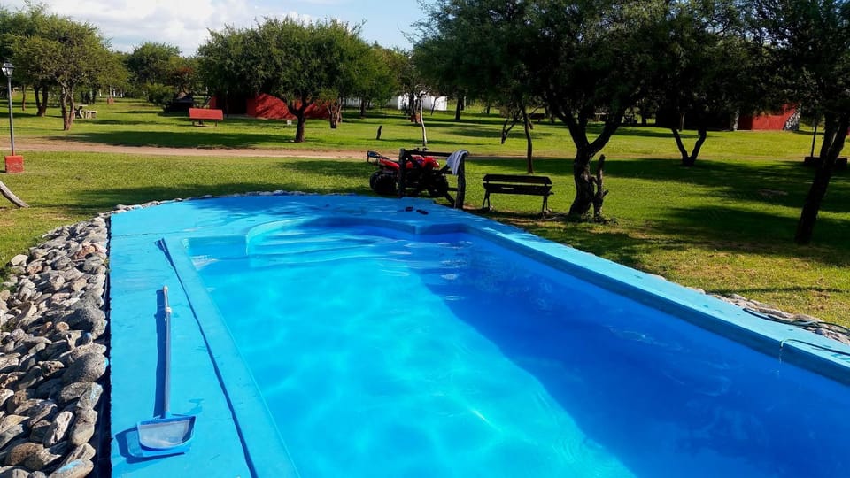 Patio, Spring, Summer, Garden, On site, Swimming pool
