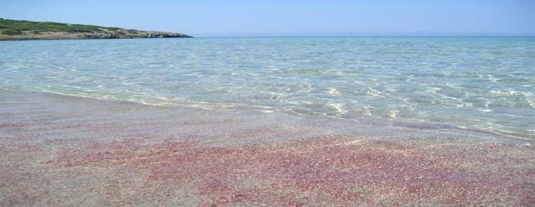 Day, Natural landscape, Beach
