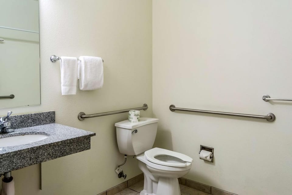Toilet, Bathroom, Photo of the whole room, On site, ADAM