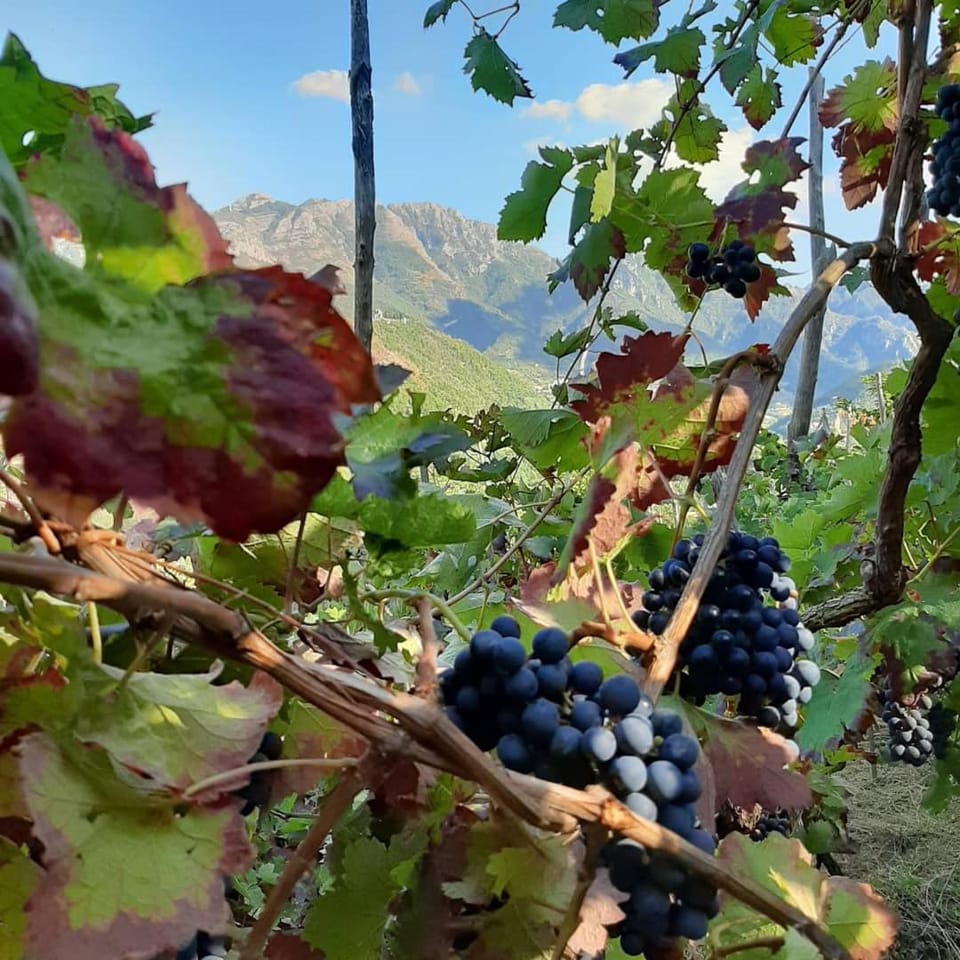 Il Raduno Farm Stay in Campania