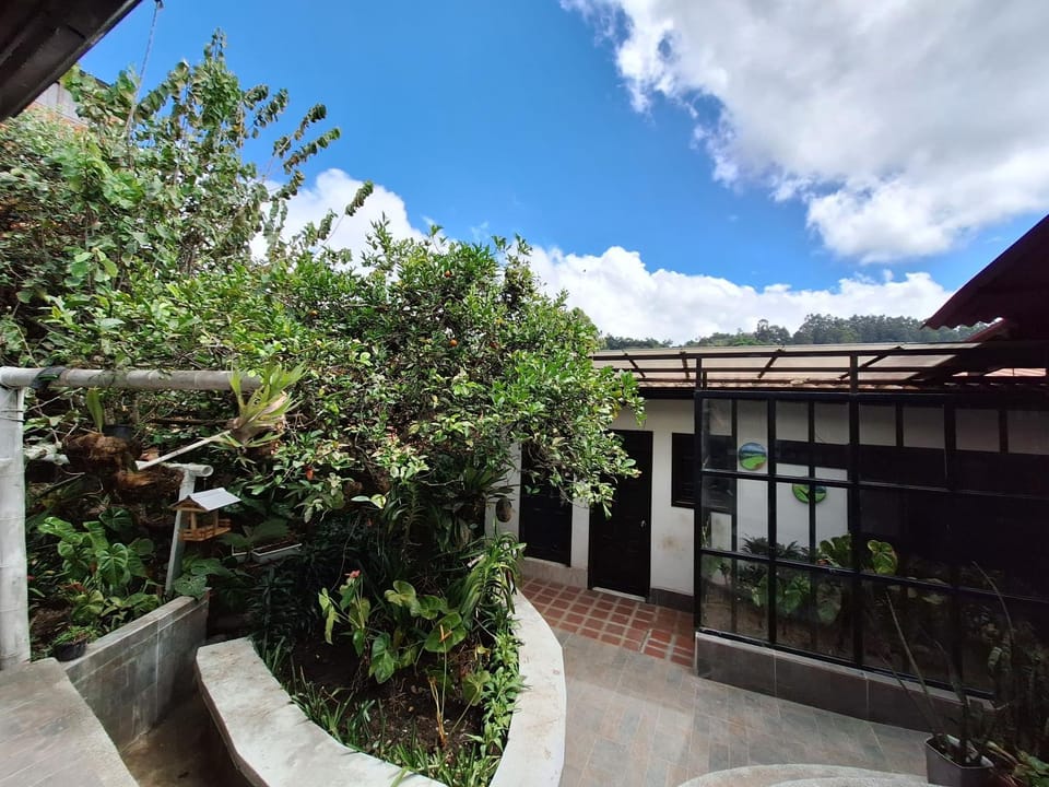 Garden, Garden view