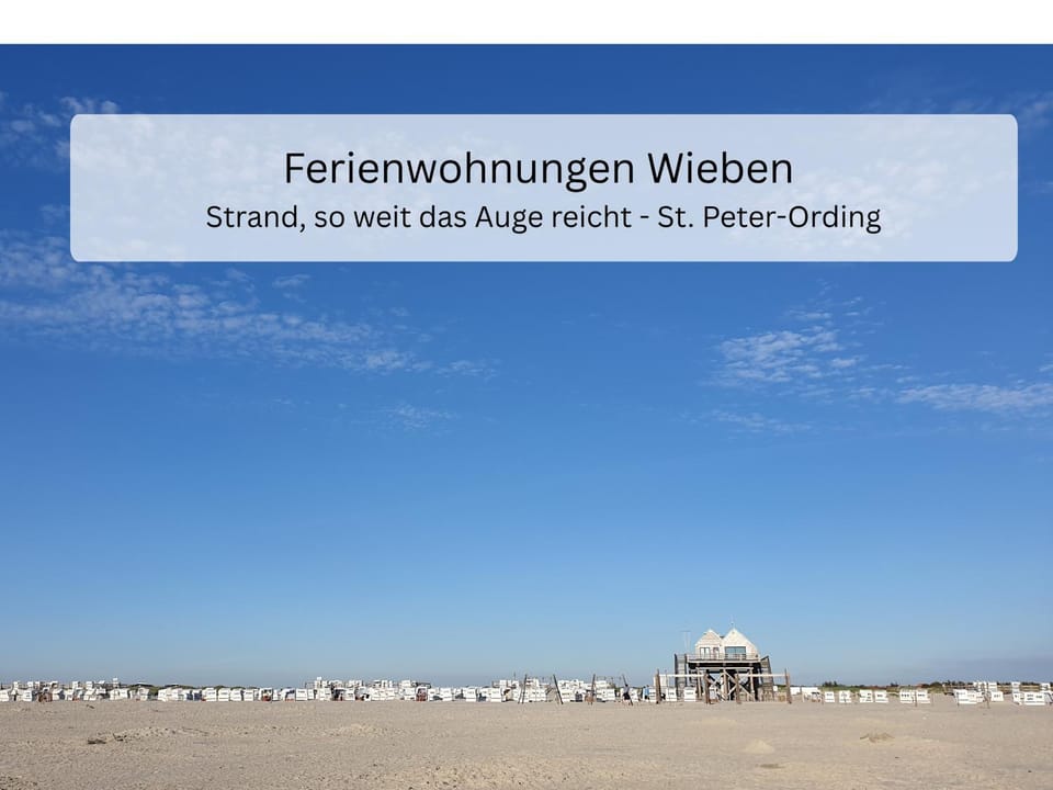 Beach, Area and facilities