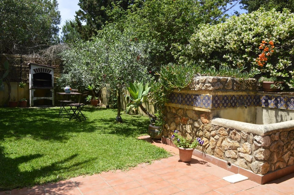 Spring, Garden, Garden view