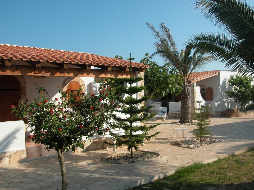Patio, Garden