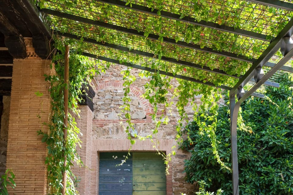 Patio, Patio