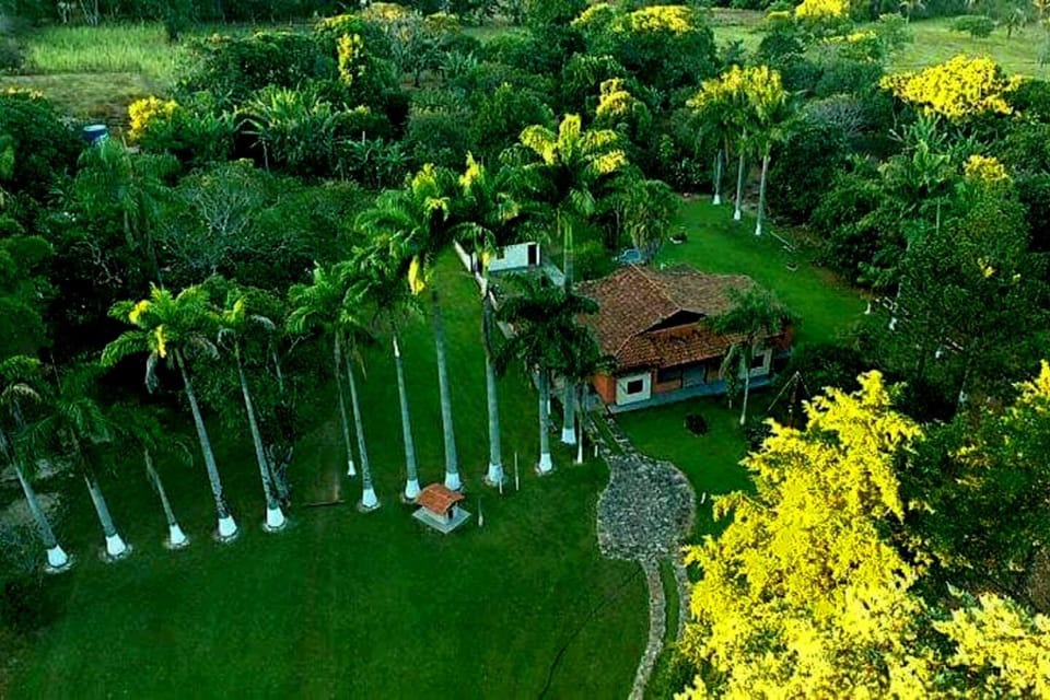 Bird's eye view, Garden, Garden view