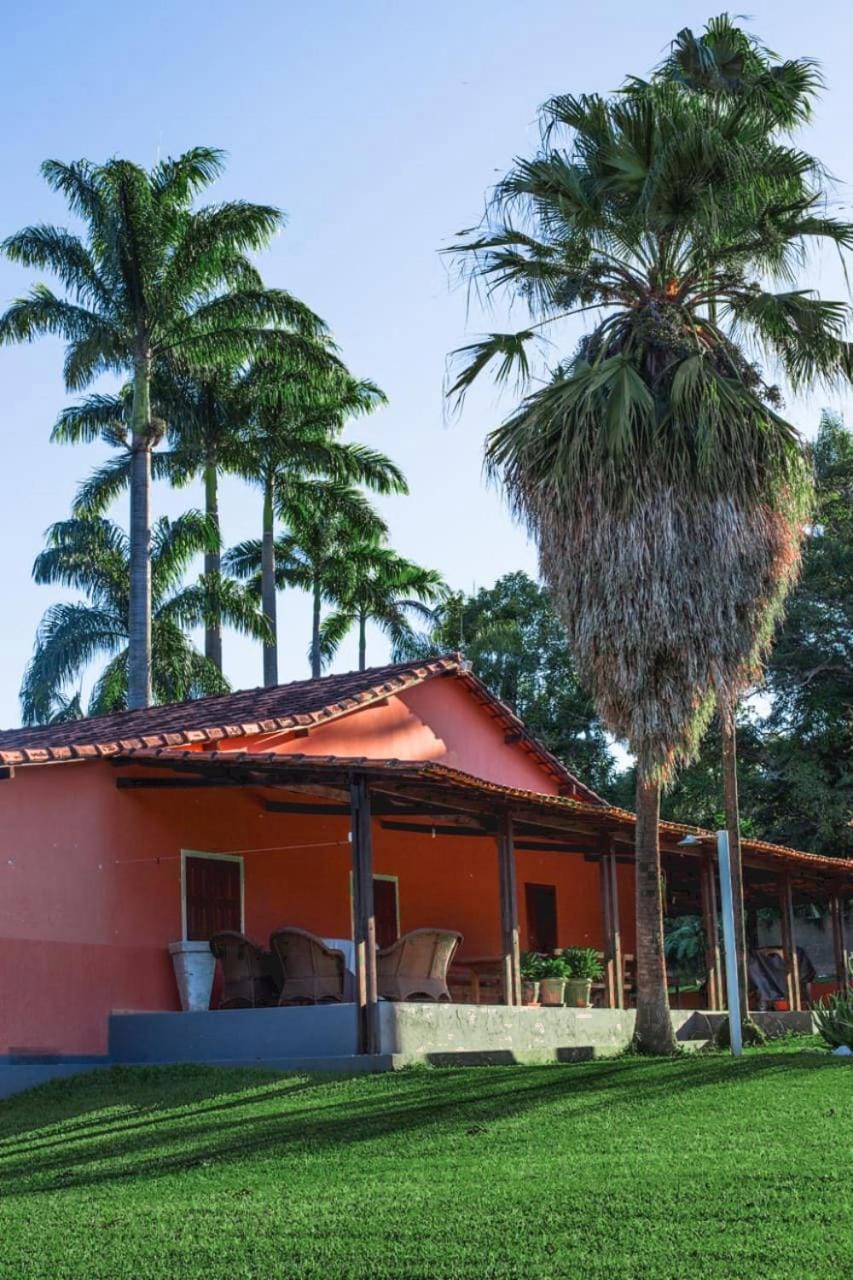 Property building, Garden