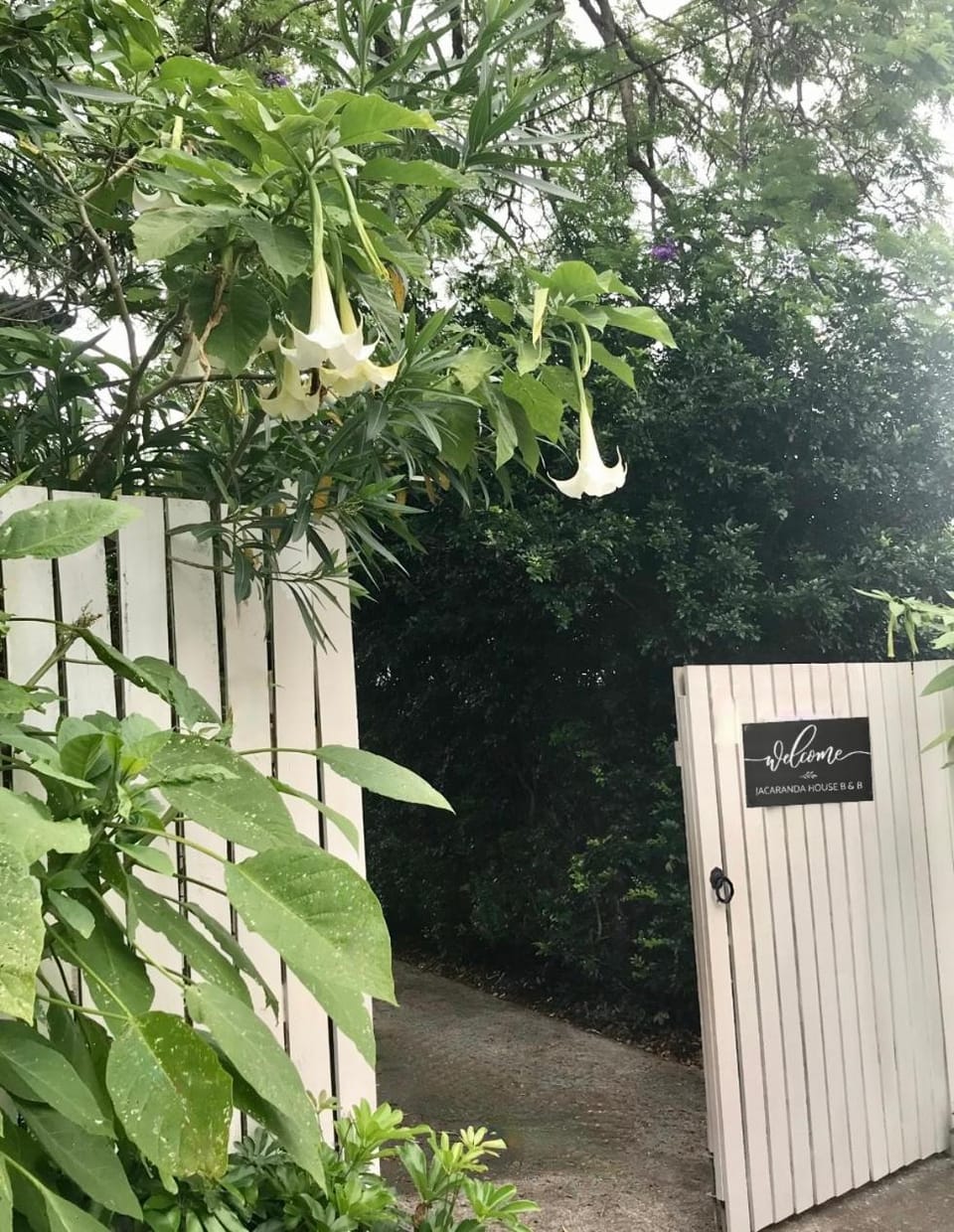 Facade/entrance, Day, Garden