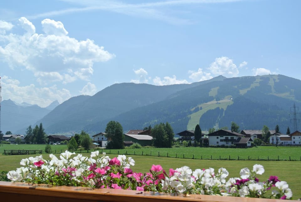 Garden, Mountain view