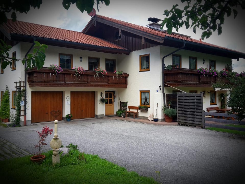 Property building, Facade/entrance, Summer