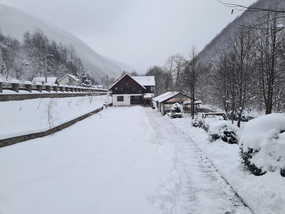 Winter