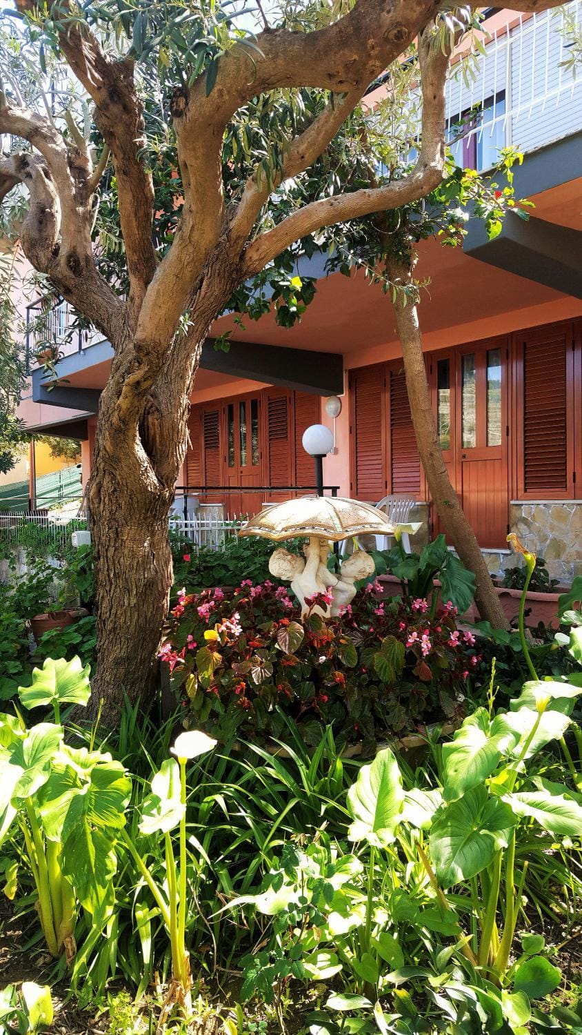 Day, Garden