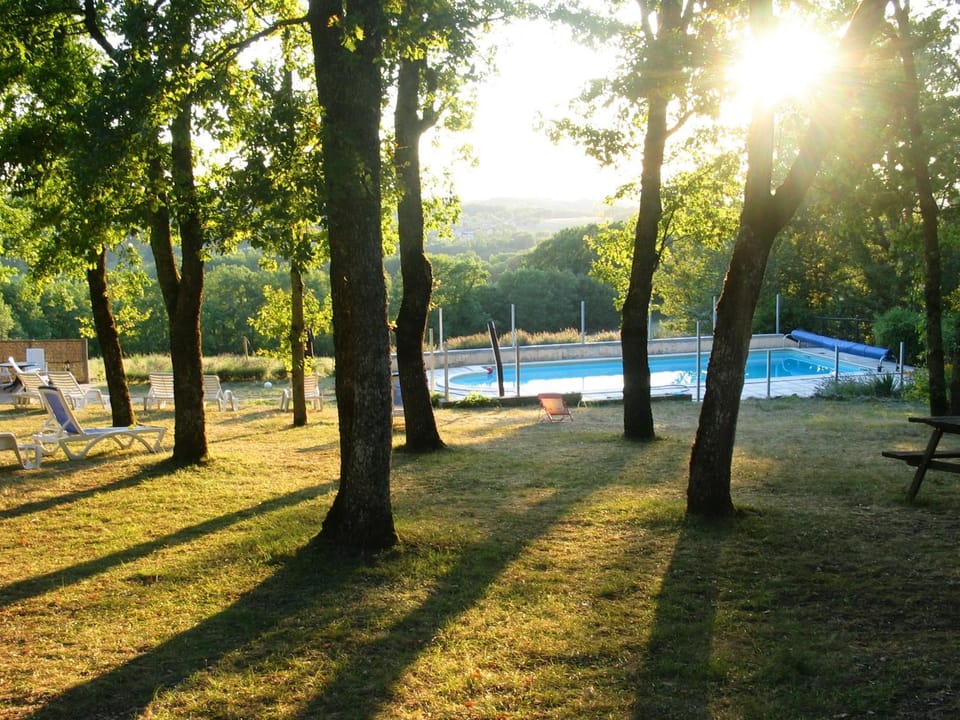 Garden, Garden view, Pool view