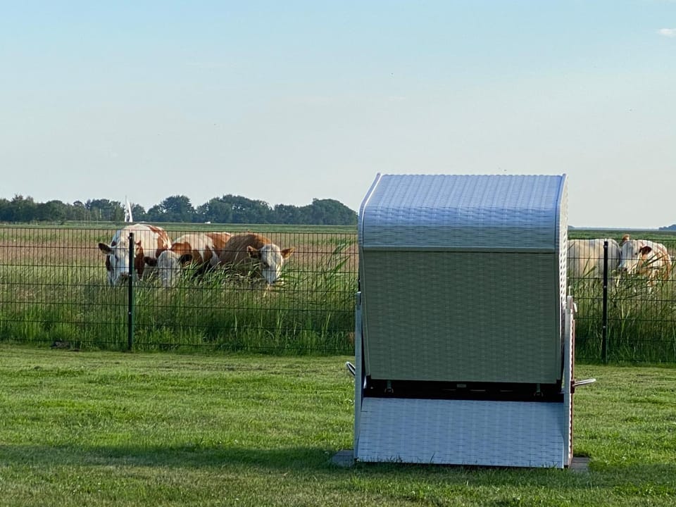 Summer, Garden, On site