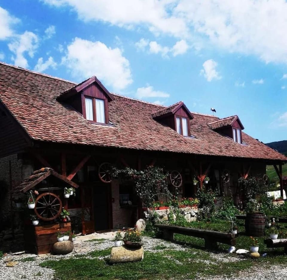 Property building, Day, Garden, Garden view