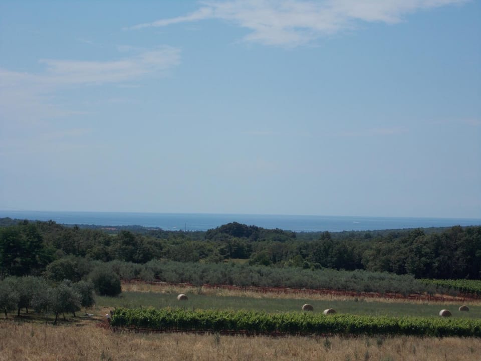 Apartments Vesna Apartment in Istria County