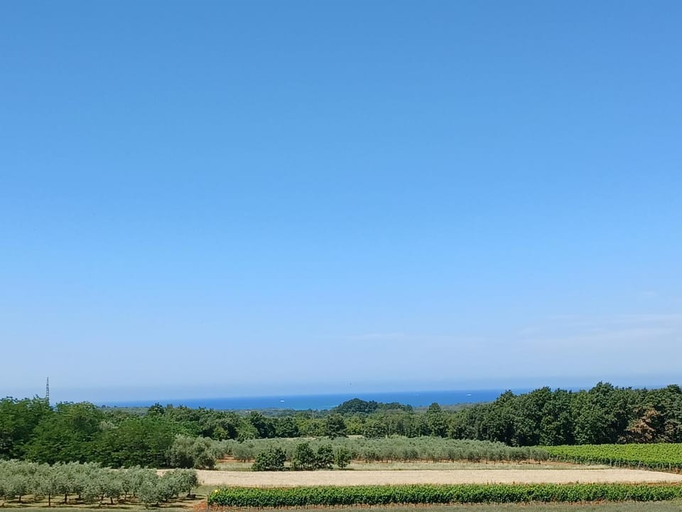 Apartments Vesna Apartment in Istria County