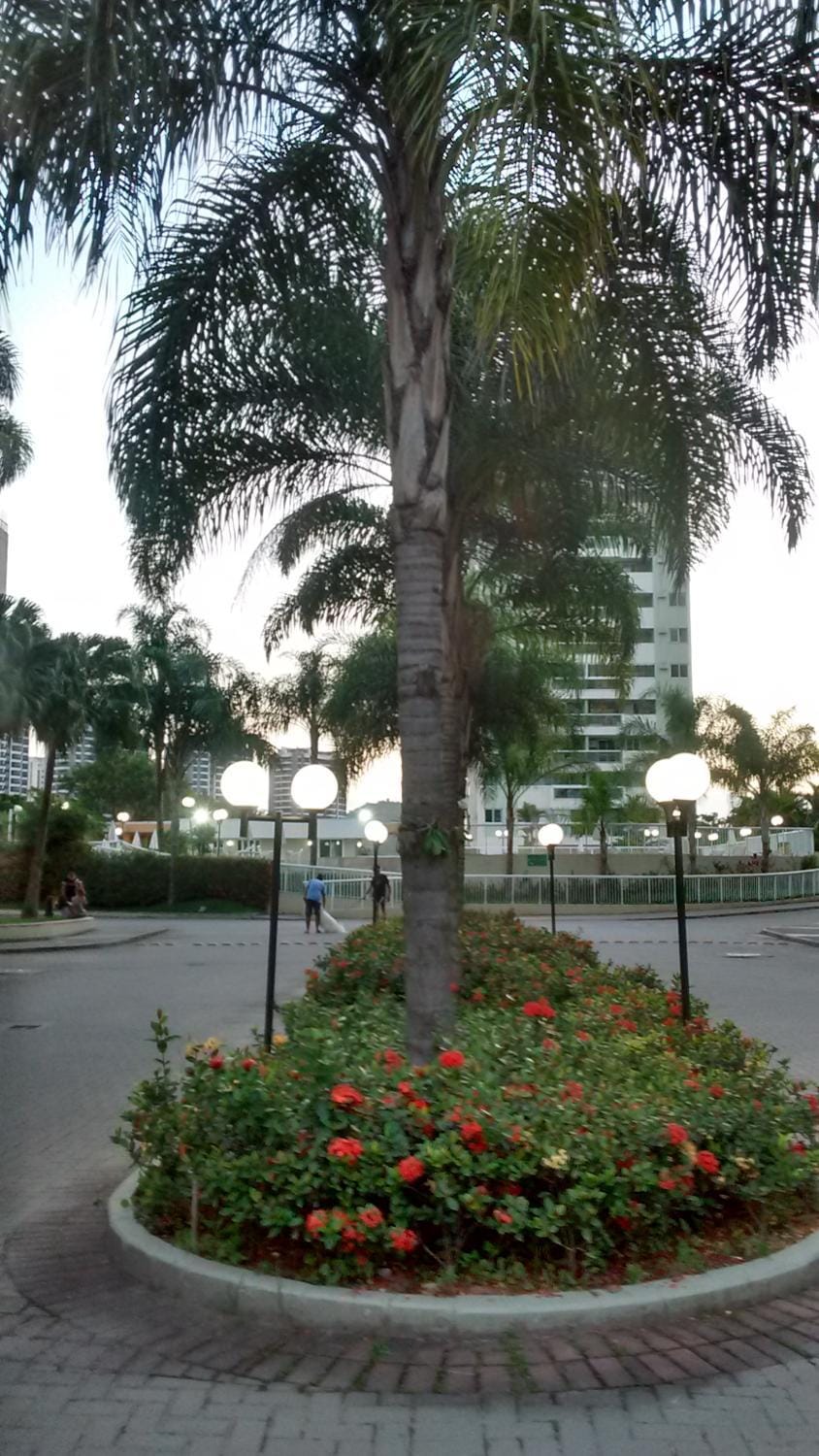 Natural landscape, Garden, Garden view