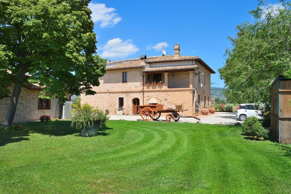 Property building, Garden, Garden view