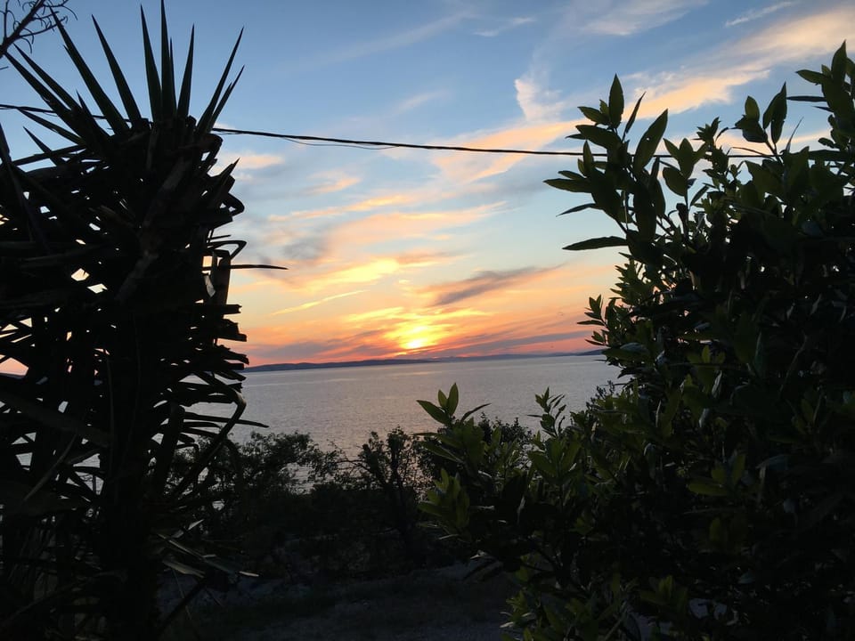Natural landscape, Garden view, Sea view