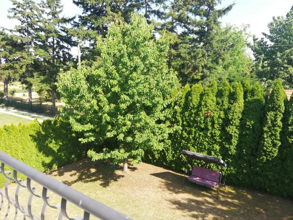 Garden, Garden view