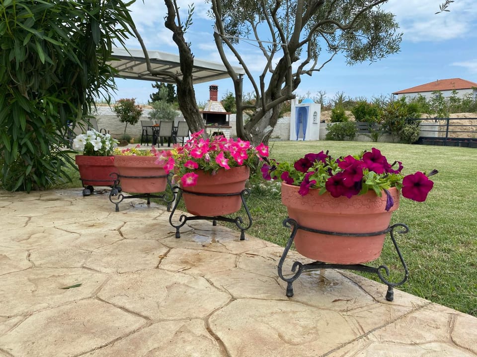 Littore Maris Apartment in Decentralized Administration of Macedonia and Thrace