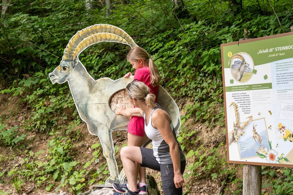Natural landscape, Animals, children