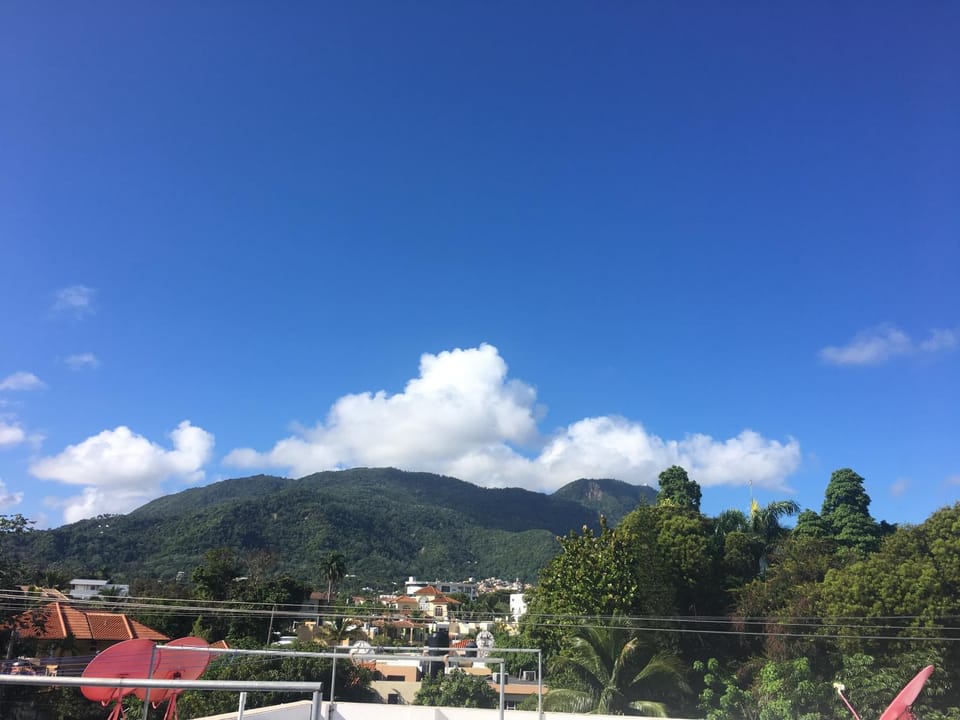 Mountain view