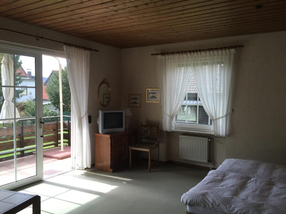 Photo of the whole room, Decorative detail, Garden view