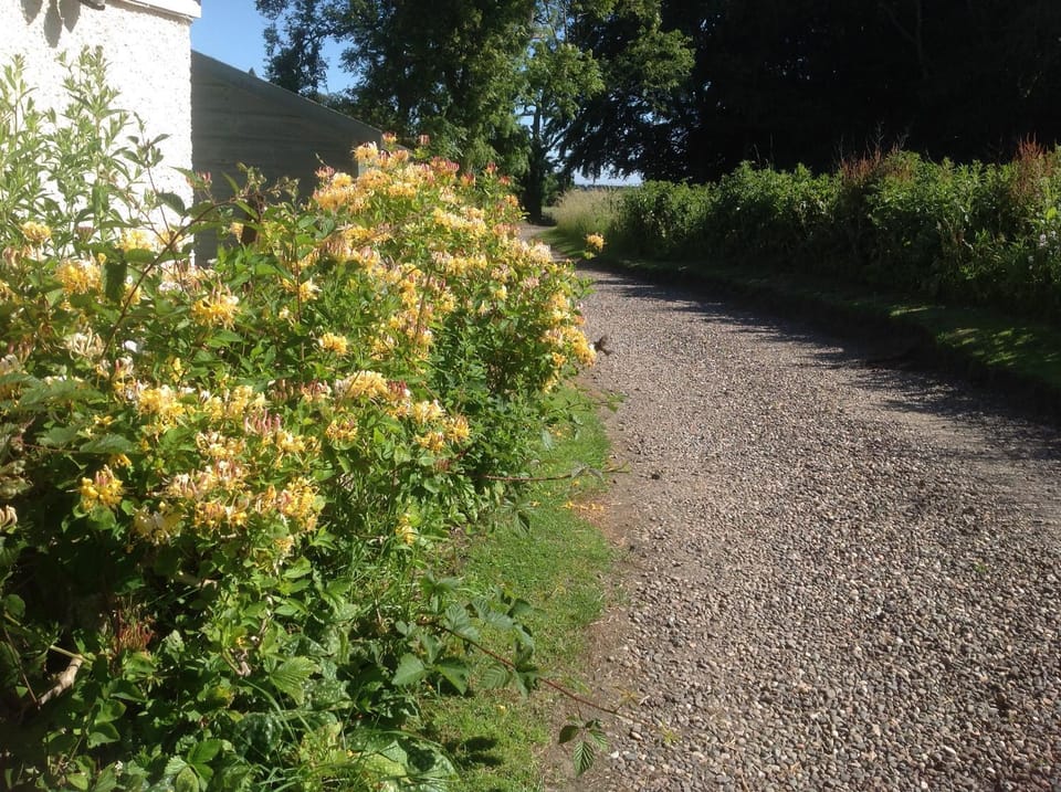 Natural landscape, Garden