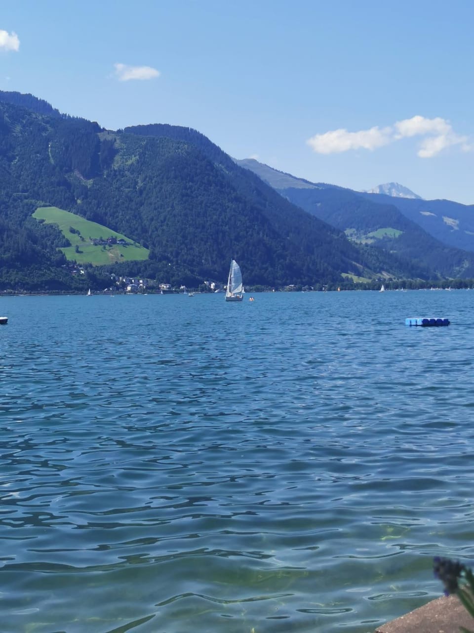 Lake view