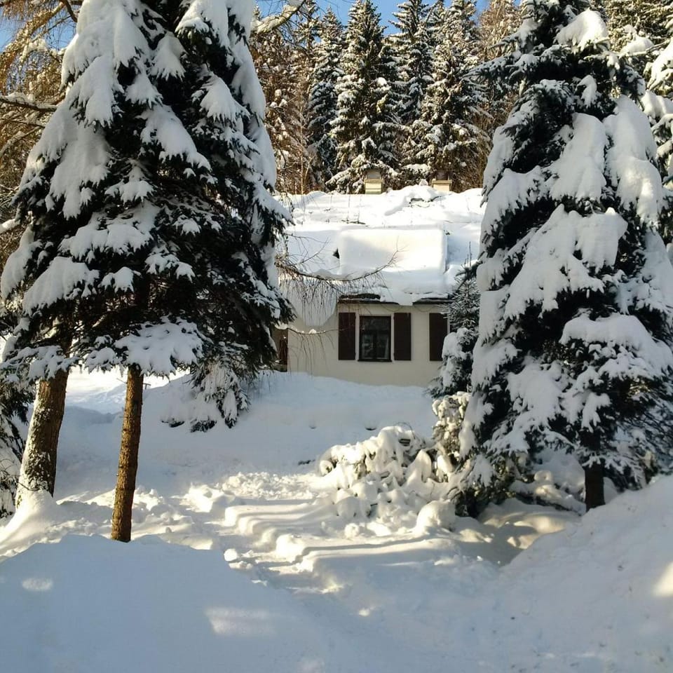 Orlí Hnízdo Nature lodge in Lower Silesian Voivodeship