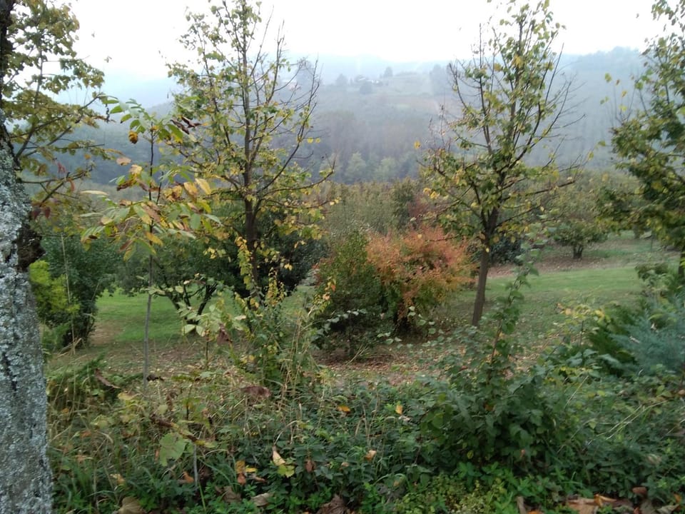 Cascina Baresane Bed and Breakfast in Liguria
