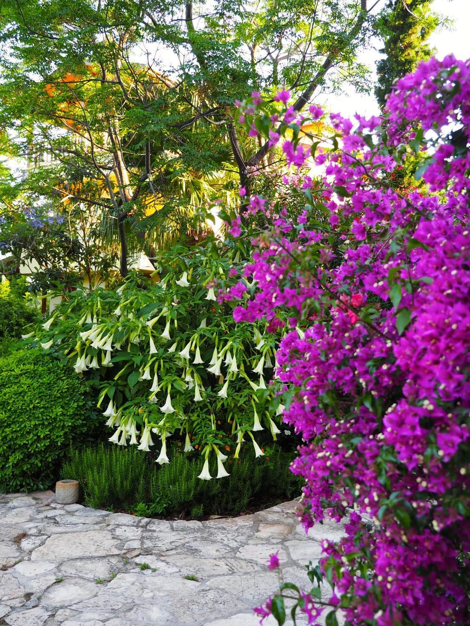 Emel Pension Hotel in Aydın Province