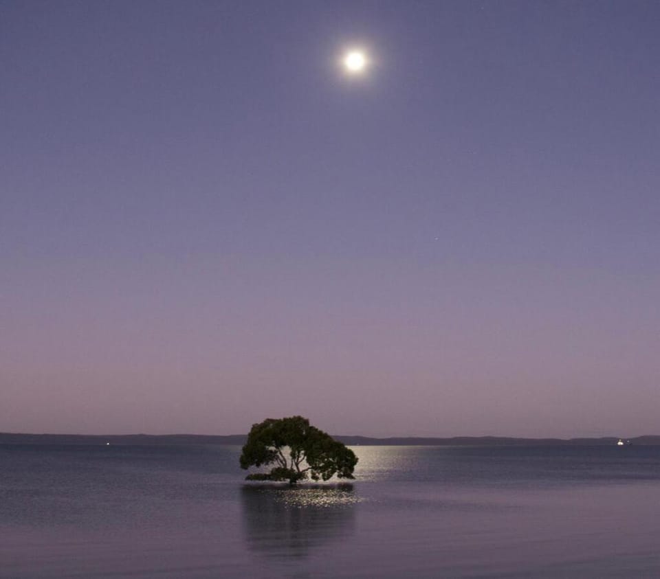 Moreton Bay Beach Lodge Apartment in Cleveland
