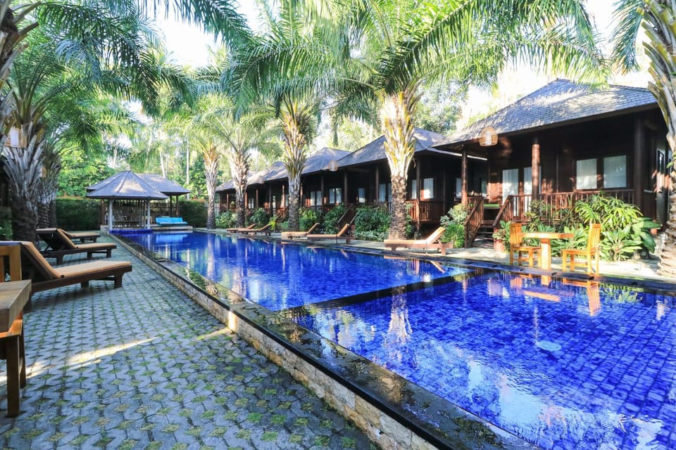 Swimming pool, Swimming pool