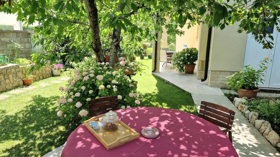 Garden, Food and drinks, Seating area