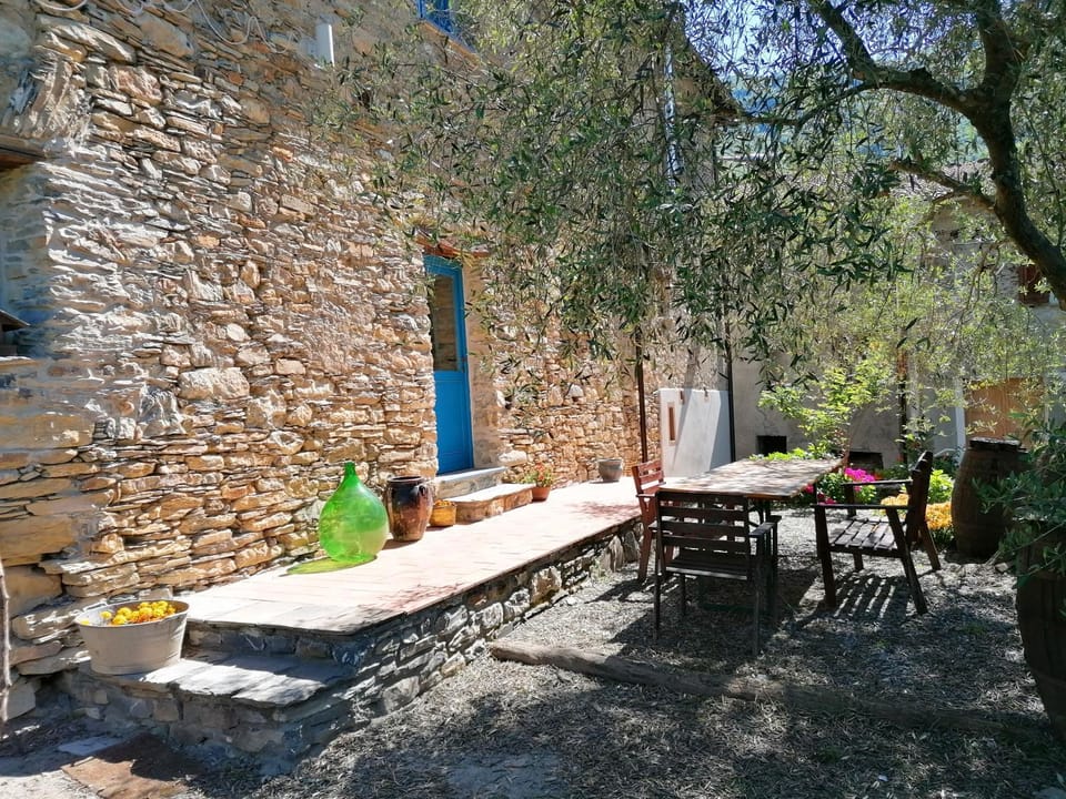 Patio, Garden